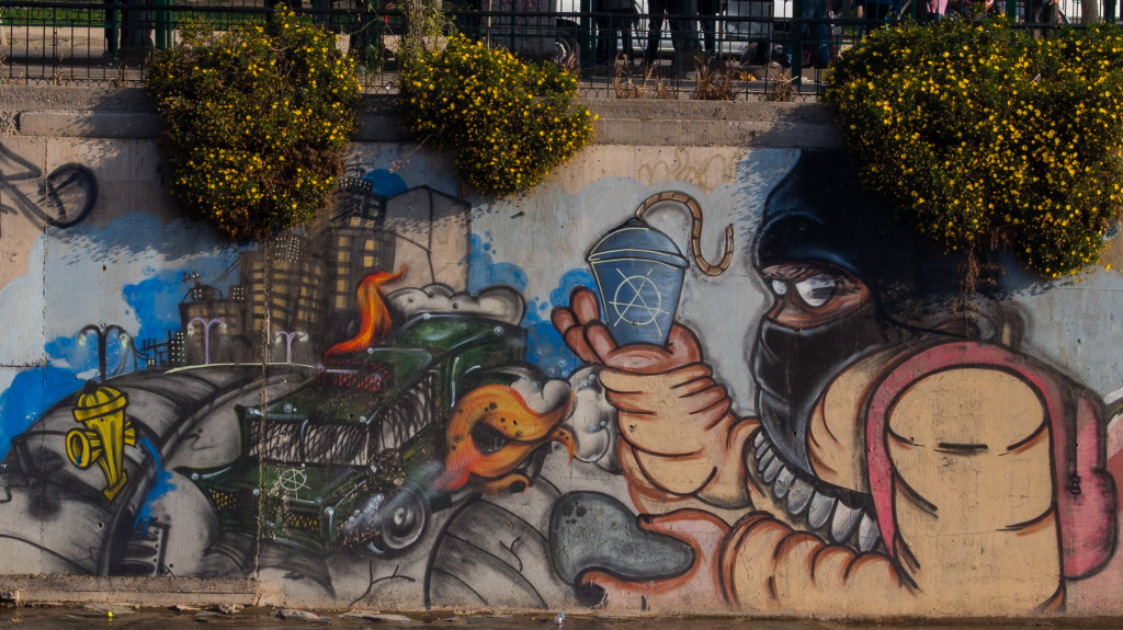 Mapocho Anarchist